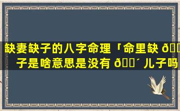 缺妻缺子的八字命理「命里缺 🐕 子是啥意思是没有 🐴 儿子吗」